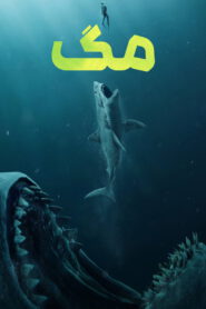 مگ